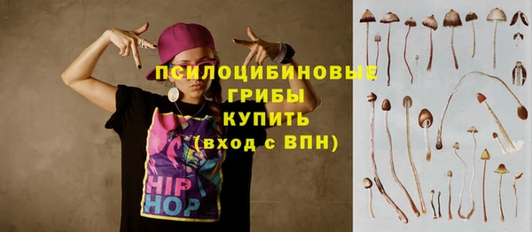 прущая мука Алзамай
