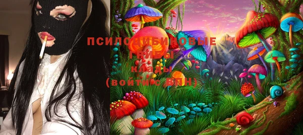 spice Алексин