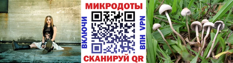 Галлюциногенные грибы GOLDEN TEACHER  Сясьстрой 